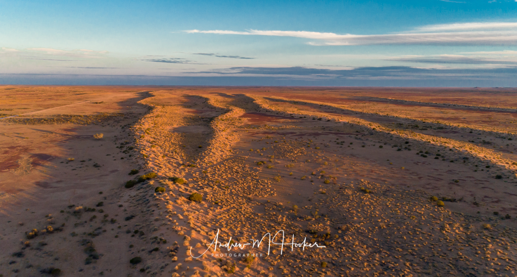 Desert